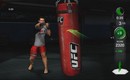 Punching-bag-1