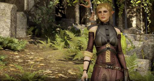 Dragon Age: Inquisition - Гайд по прокачке разбойника в Dragon Age: Inquisition 